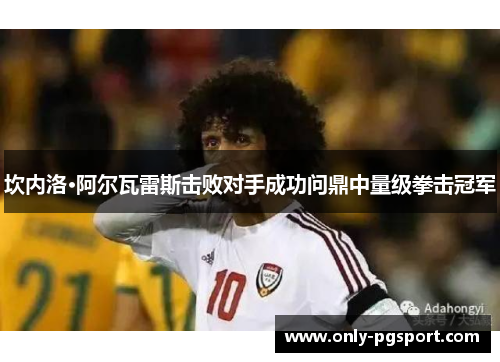 坎内洛·阿尔瓦雷斯击败对手成功问鼎中量级拳击冠军 坎内洛·阿尔瓦雷斯击败对手成功问鼎中量级拳击冠军