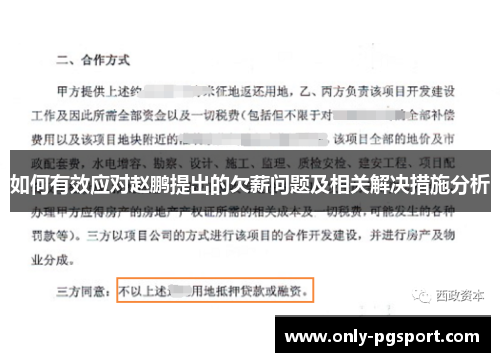 如何有效应对赵鹏提出的欠薪问题及相关解决措施分析