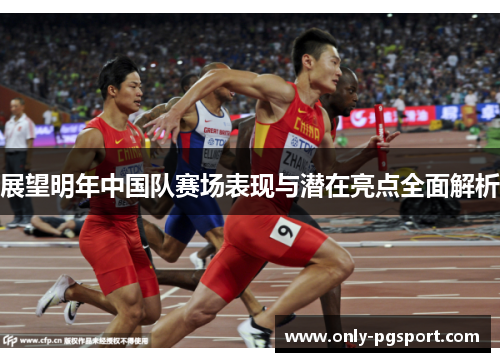 展望明年中国队赛场表现与潜在亮点全面解析